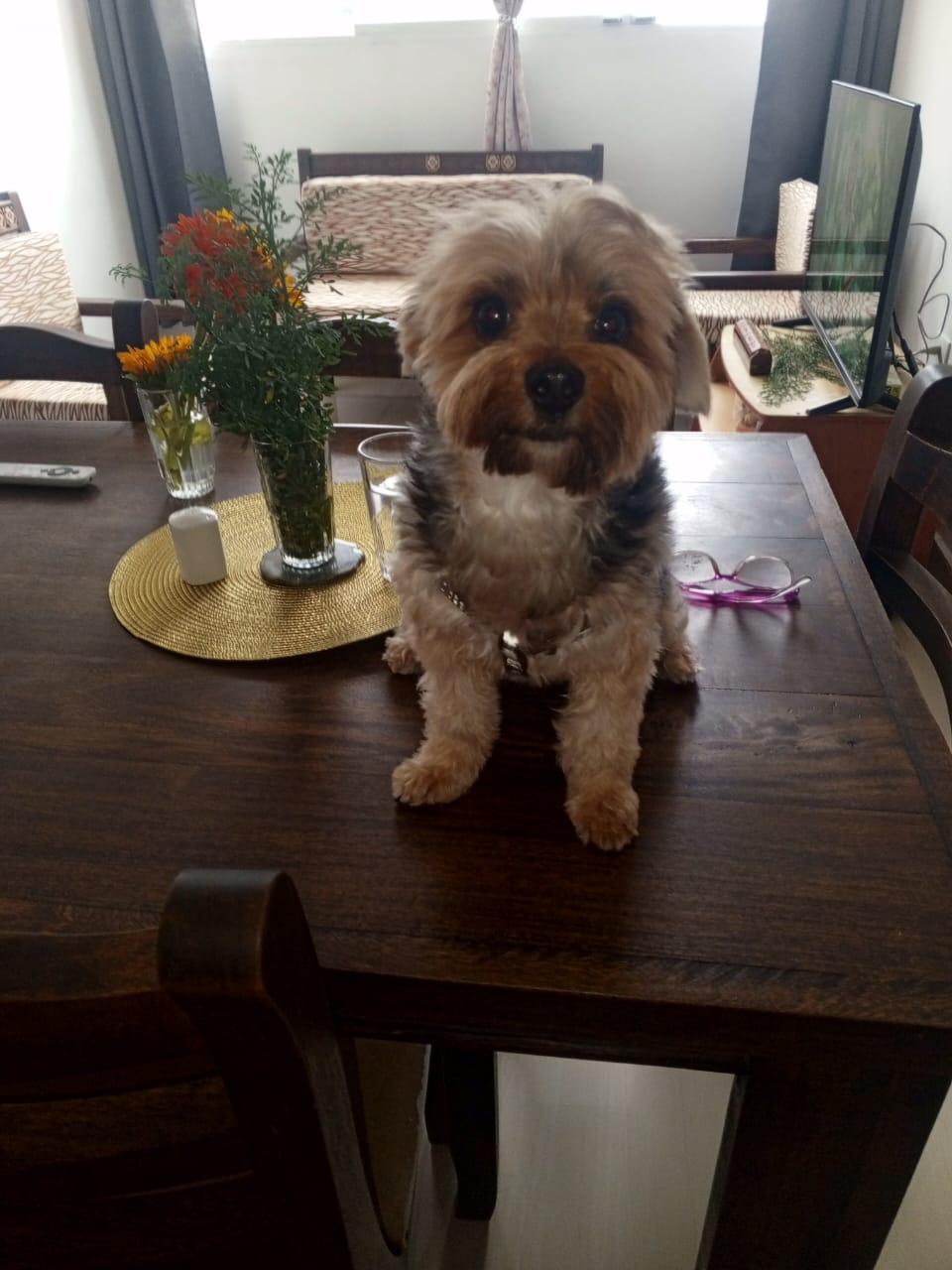 Barbara Goretty — Consultora de Marketing